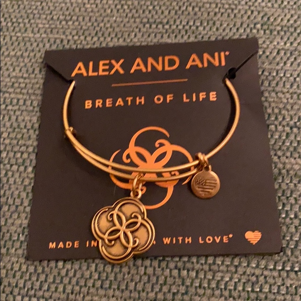 Alex and Ani bangle